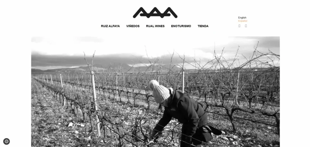 diseño web par vinos y viñedos rual wines